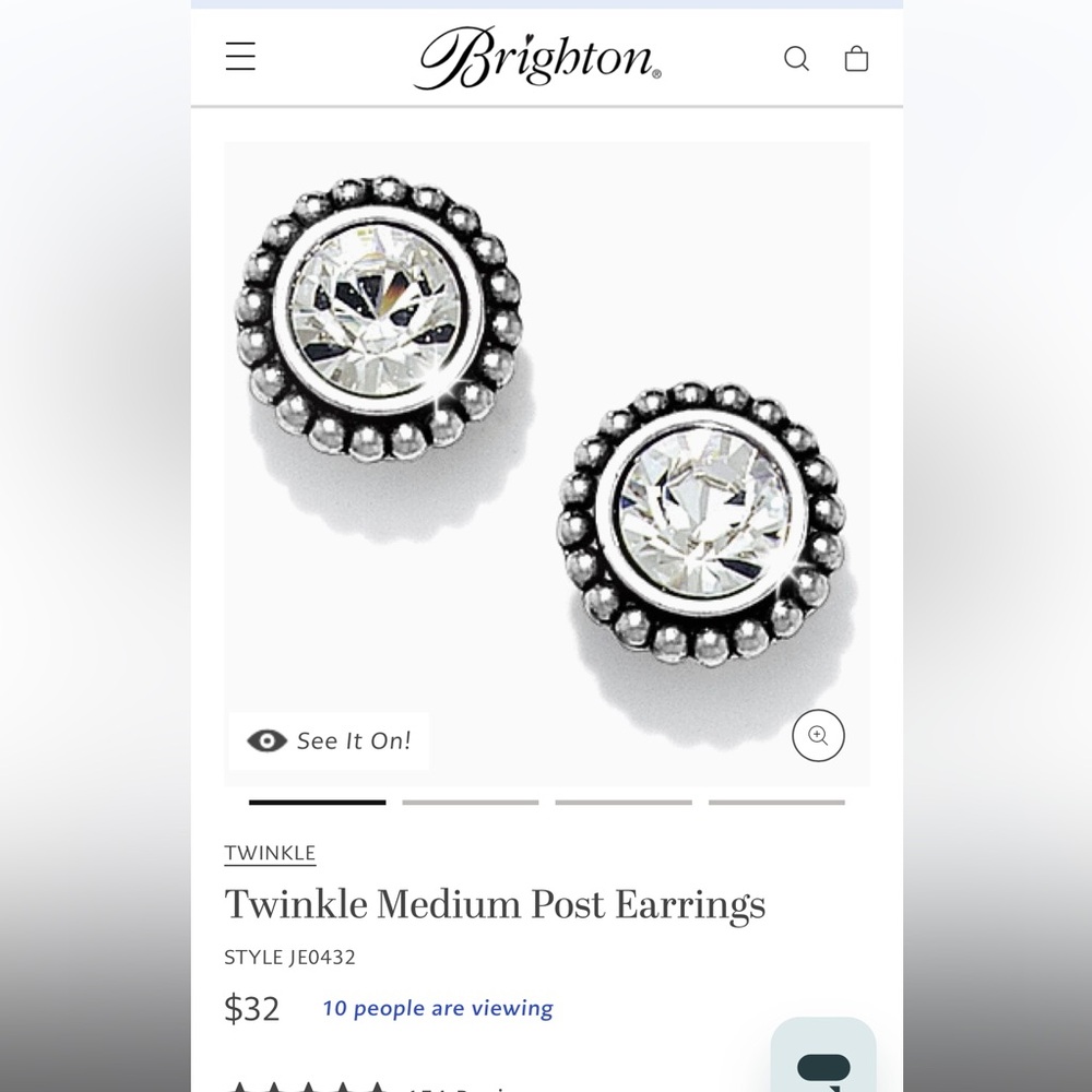 Brighton post earrings
